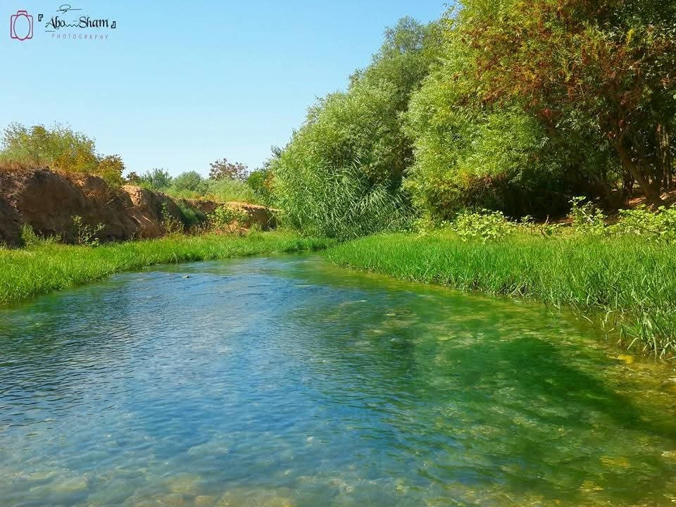 نهر الساجور